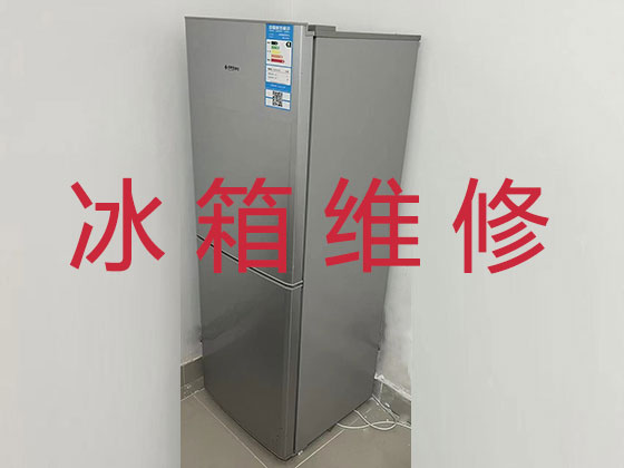 青岛冰箱冰柜维修公司